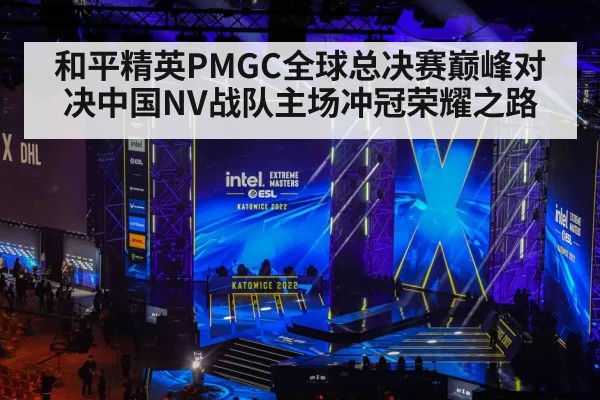 esports tournament stage